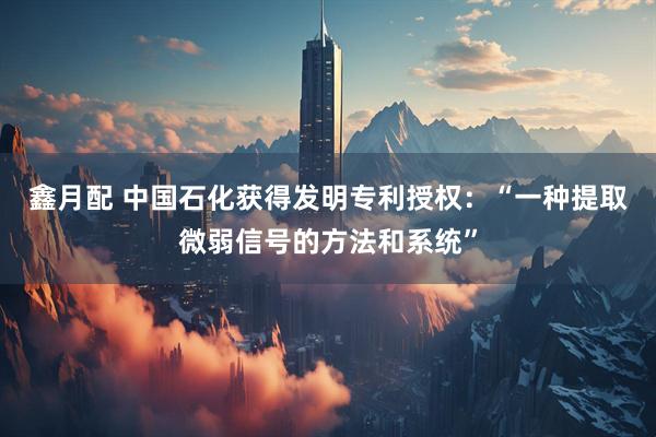 鑫月配 中国石化获得发明专利授权：“一种提取微弱信号的方法和系统”