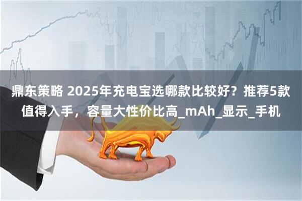 鼎东策略 2025年充电宝选哪款比较好？推荐5款值得入手，容量大性价比高_mAh_显示_手机