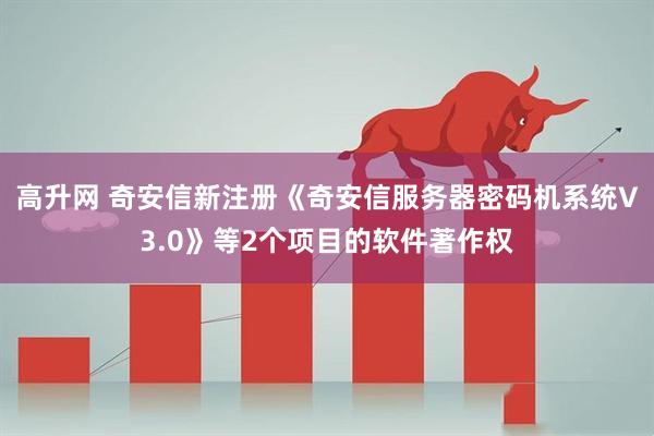 高升网 奇安信新注册《奇安信服务器密码机系统V3.0》等2个项目的软件著作权