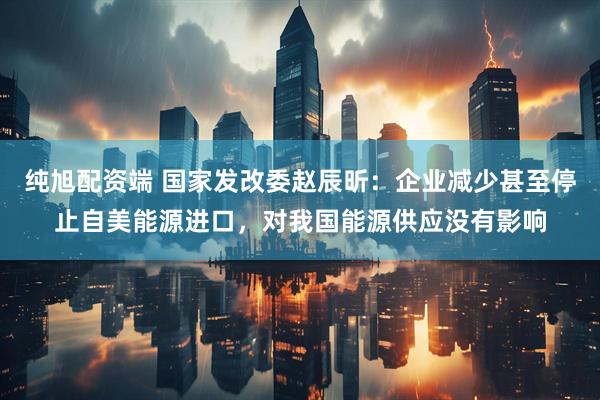 纯旭配资端 国家发改委赵辰昕：企业减少甚至停止自美能源进口，对我国能源供应没有影响